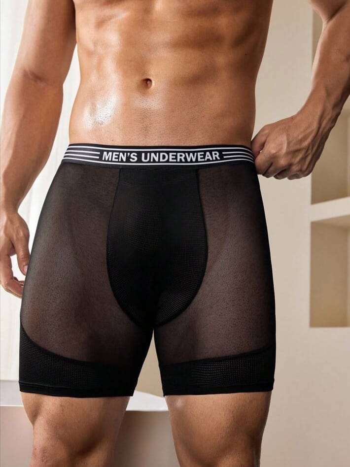 Midnight Sheer Mesh Long Trunk